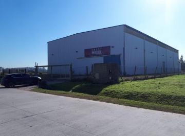 Terreno · 3500m² · Alquiler Galpón 1563 m² Pque Industrial Cañuelas