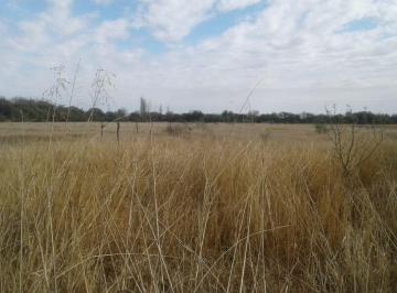 Campo · 500000m² · 5 Ambientes · 1 Cochera · Campo en Venta de 50 Hectáreas - Cruz del Eje
