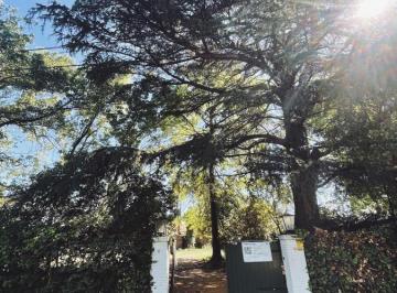 Terreno · 550ha · Venta Lotes en La Horqueta, San Isidro