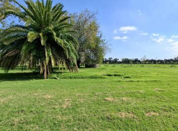 ARG-ARG-1646_2 · Lote de 875 m en Las Chacras