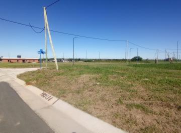Terreno · 280m² · Terreno en Venta en Docta Central, Apto Dúplex, Zona Escuela