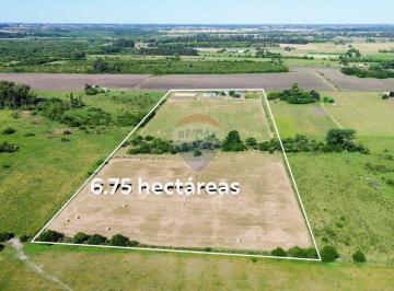 Campo · 260ha · Venta Chacra de 6,75 Há - Canelones - Rut11 - Km91,5