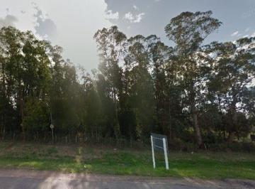 Terreno · 9086m² · Alquiler Predio de 1 Hectarea Sobre Ruta 8