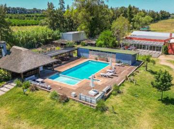 Campo · 250ha · Venta Haras Establecimiento Para Eventos Canelones