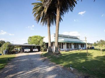 Campo · 294ha · Venta Chacra 5 Dorm. Sauce Canelones