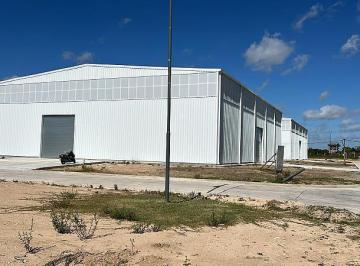 Depósito · 1200m² · Deposito a Estrenar Sobre Colectora Au Bs As La Plata Km 30, C/portones Para Camiones Containers. a