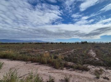 Campo , Maipú · Se Vende Espectacular Finca en Maipú, a 500 Mtrs de Ruta 60!