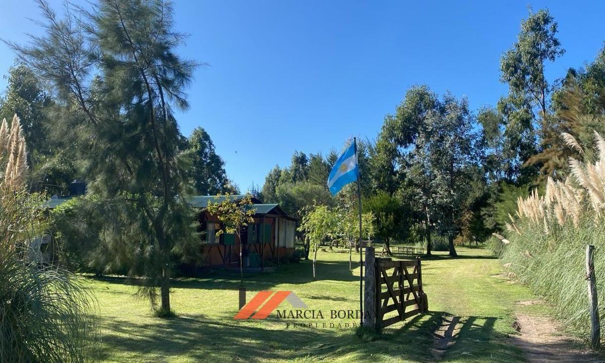 Ruta 29, Alegre, Buenos Aires (fuera de GBA)
