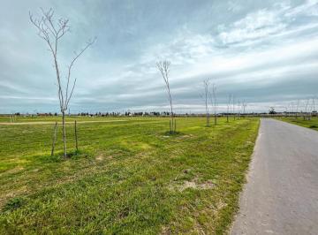 Terreno · 1041m² · Terreno con Frente Sur, Amenities y Fondo Al Reservorio