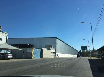 Depósito · 11300m² · Riccheri Aut..