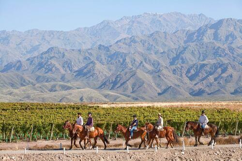 Desarrollo horizontal · Casa de Uco Vineyards & Wine Resort