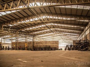 Bodega-Galpón · 3200m² · Nave Industrial - Venta y Alquiler - Chivilcoy