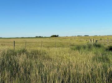 Campo · 2544153m² · Venta Campo Mixto Macedo