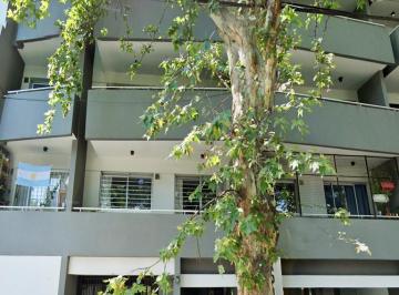 Departamento · 48m² · 2 Ambientes · 2 Ambientes en Parque Cha
