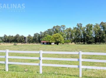 Campo · 37000m² · Chacra - San Antonio de Areco