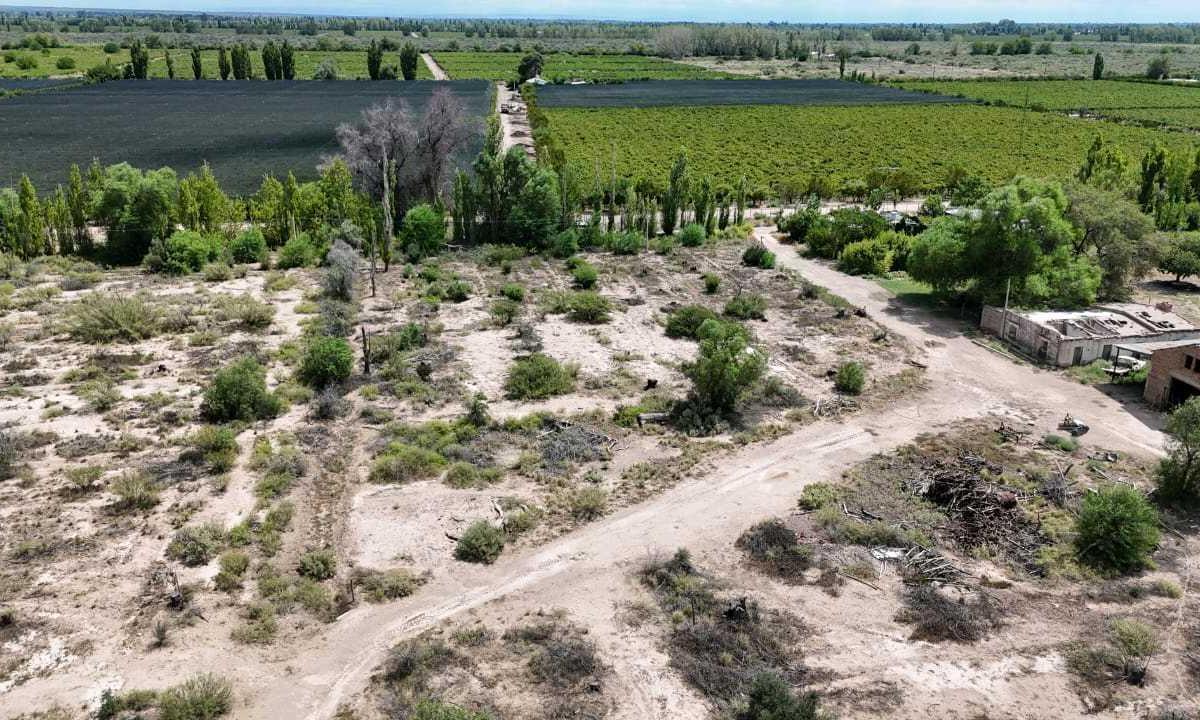 los Campamentos, Rivadavia,  Rivadavia, Mendoza