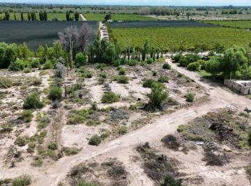Campo · Venta Excepcional Finca de 231 Has en Los Campamentos - Rivadavia, Mza
