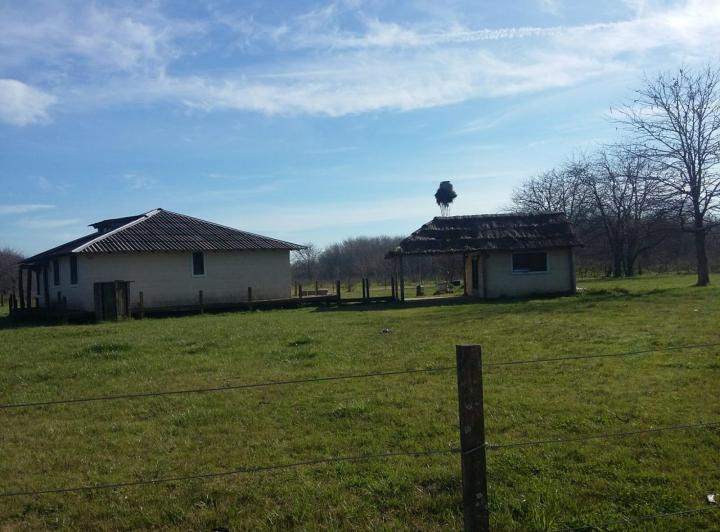 Campo · 3ha · 2 Ambientes