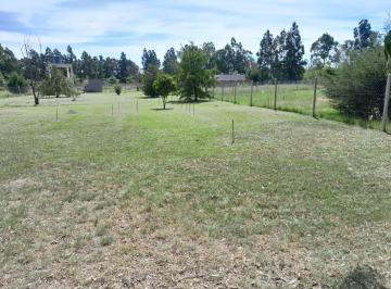 Terreno · 2296m² · Terreno en Venta en Los Aromos