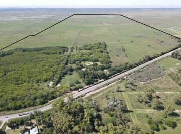 Campo · 3080000m² · Campo Sobre Ruta 11 - Berisso