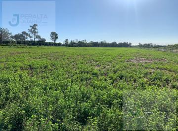 Campo · 980000m² · Campo en Napenay, Chaco