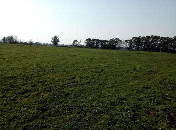 Campo , Mechongué · Campo en Venta