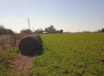 Campo · 7ha · Oportunidad! Campo en Venta en Mercedes