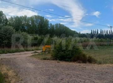 Campo · 5ha · Excelente Oportunidad! Chacra en Alquiler