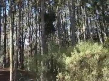Terreno · 1100m² · Lote Terreno a La Venta en Barrio Senderos III Costa Esmeralda Pinamar
