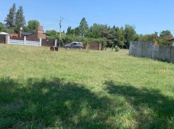 Terreno · 300m² · Venta de 2 Terrenos Continuos 10x30 en Andino