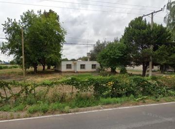 Terreno , Los Corralitos · Hermosa Finca de 7 Ha (67988 M&sup2;). Excelente Ubicación