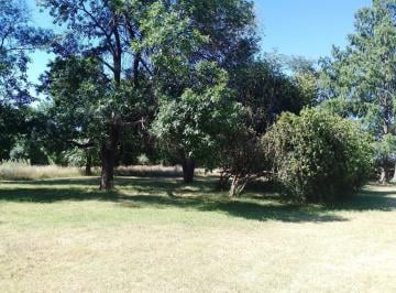 Casa · 40000m² · 3 Ambientes · Terreno Lujan Sobre Ruta 7 Barrio Esperanza