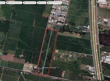ISN-ISN-2381_2 · Lote. | Los Nogales