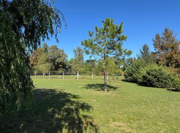 Terreno , Cañuelas · 2 Lotes Baldios de 795 m² en Cañuelas