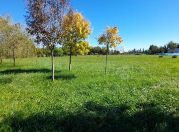 Terreno · 2120m² · Terreno en Barrio Abierto Los Fresnos Uribelarrea