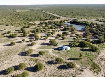 Campo , Cuchillo-Có · Campo de 2.500 Ha Cuchillo Có, Provincia de La Pampa.