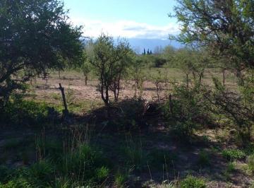 Terreno , Los Cedros · Venta de Lote en Córdoba