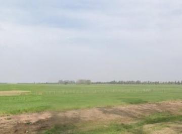 Campo · 274900ha · Campo Agricola Sobre Ruta 34 (Lehmann)