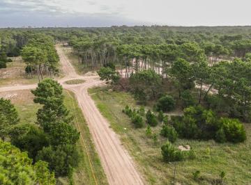 Terreno · 1040m² · Lote en Venta Pinamar Bosques