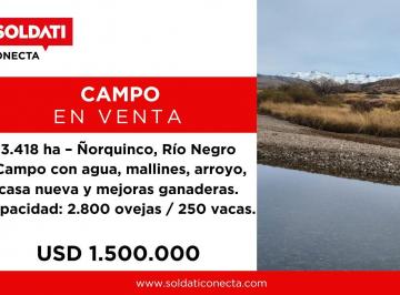 Campo · 34180000m² · Campo 3400 Ha - Ñorquinco - Rio Negro