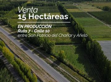 Terreno · 150000m² · Venta 15has en Producción Sobre Ruta 7 - San Patricio del Ch