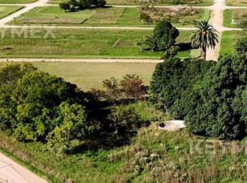 Terreno · 312m² · Lote en Venta de 312 m en Chascomus