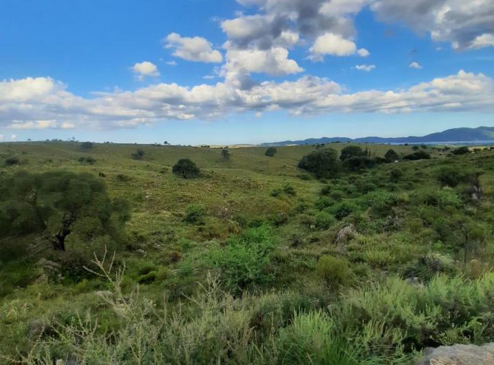 Terreno · 5000m²