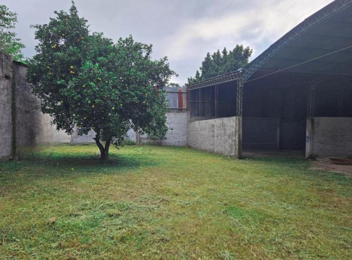 Bodega-Galpón · 700m²