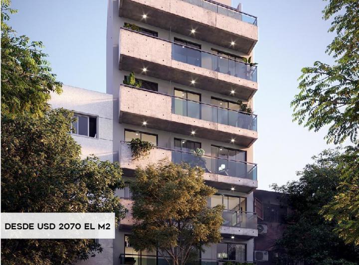 Desarrollo vertical · Pinto By Doho