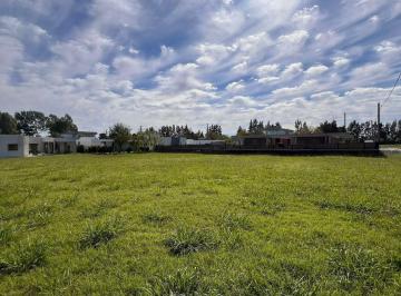 Terreno · 655m² · Barrio Don Guido 139 y 509, Lotes en Venta 655 m²