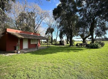 Campo · 32m² · 2 Ambientes · Chacra de 7ha en Azcuenaga