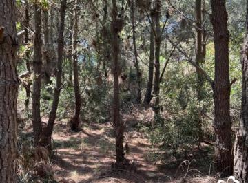 Terreno · 2132m² · Costa Esmeralda - Lote Golf 543 (Unificado)