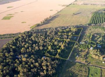 Terreno · 9000m² · Lotes en Venta Arbolados en Azcuenaga
