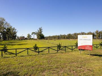 Terreno · 10000m² · Lotes en Venta en Azcuenaga Los Corrales